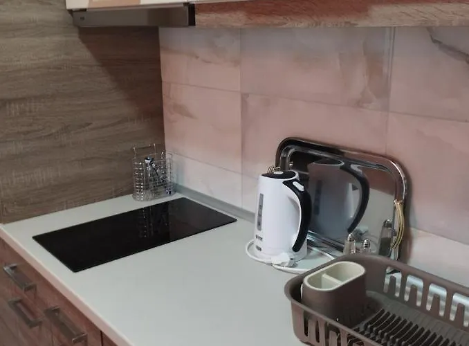 公寓 Forest Lux 兹拉蒂博尔